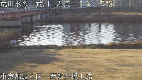 arani2026012508_image