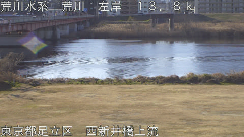 arani2026012509_image