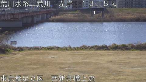 arani2026012510_image