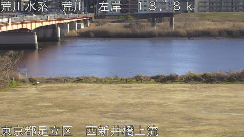 arani2026012515_image