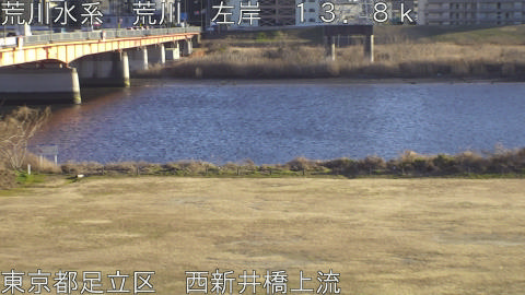 arani2026012516_image