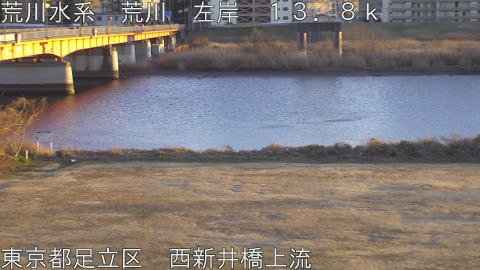 arani2026012517_image