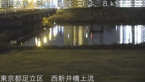 arani2026012623_image