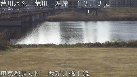 arani2026012710_image