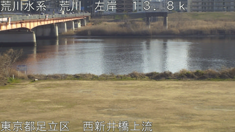 arani2026012715_image