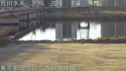 arani2026012808_image