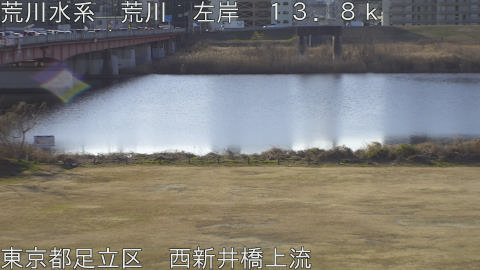 arani2026012809_image