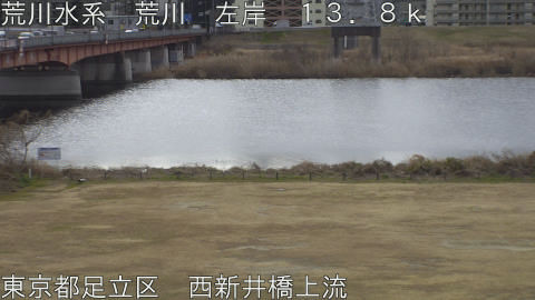 arani2026012811_image