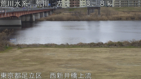 arani2026012813_image