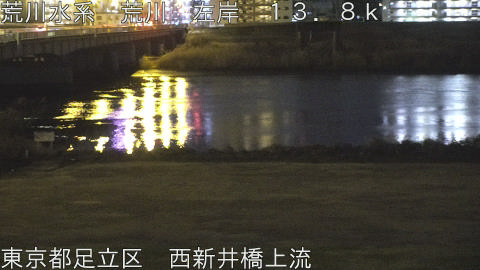 arani2026012823_image