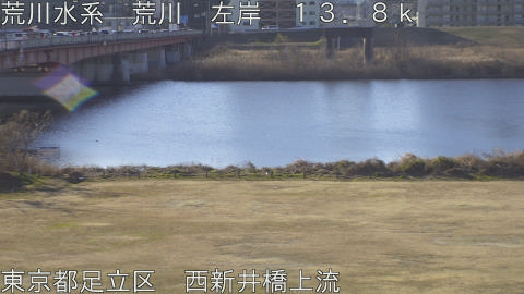 arani2026012909_image