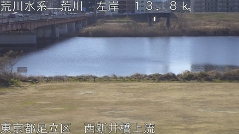 arani2026012910_image