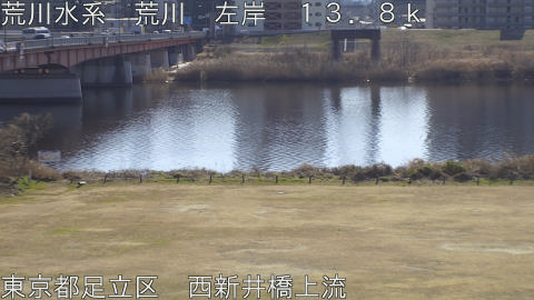 arani2026012912_image