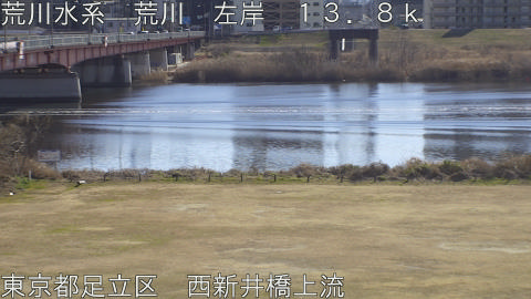 arani2026012913_image