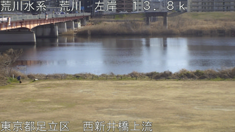 arani2026012914_image