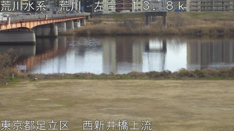 arani2026012915_image