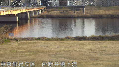 arani2026012916_image