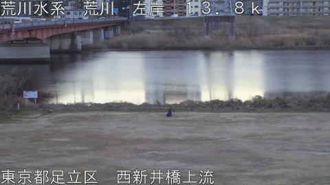 arani2026012917_image