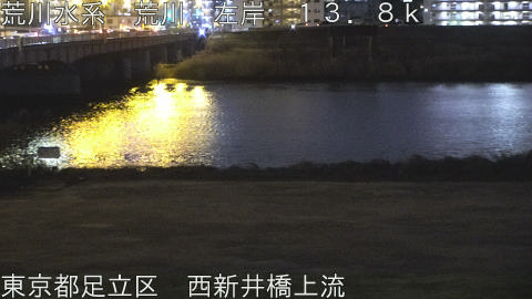 arani2026012918_image