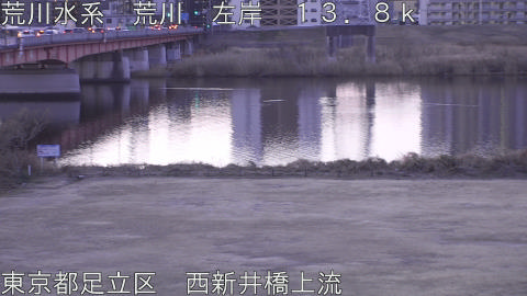 arani2026013007_image