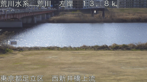 arani2026013010_image