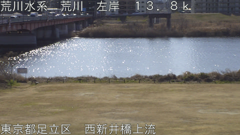 arani2026013011_image