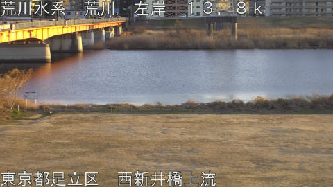 arani2026013017_image