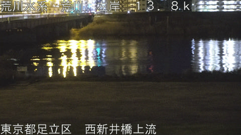 arani2026013104_image