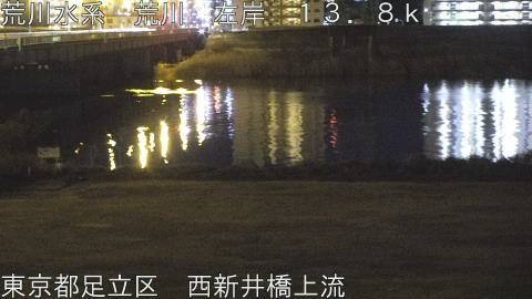 arani2026013105_image