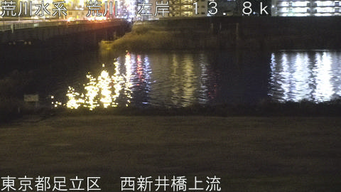 arani2026013106_image