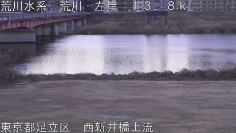 arani2026013107_image