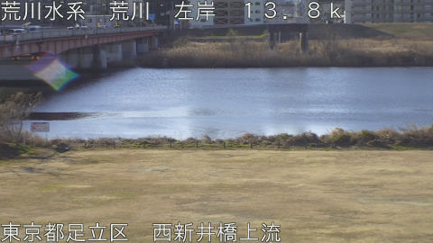 arani2026013109_image