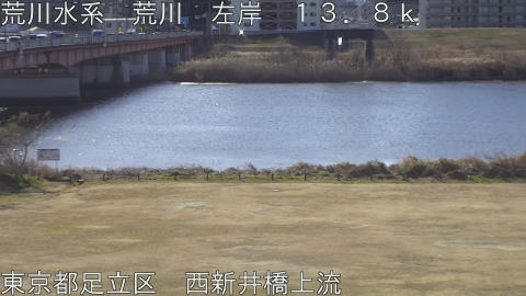 arani2026013110_image