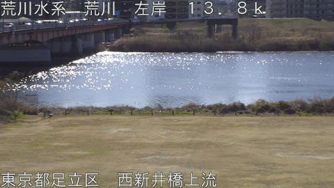 arani2026013111_image