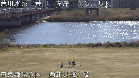 arani2026013112_image