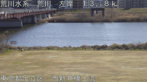 arani2026013113_image