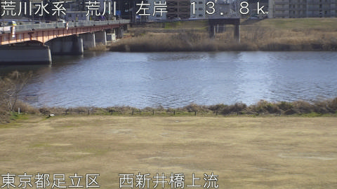 arani2026013114_image