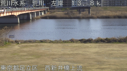 arani2026013115_image