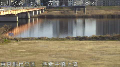 arani2026013116_image