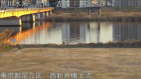 arani2026013117_image