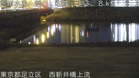 arani2026013119_image