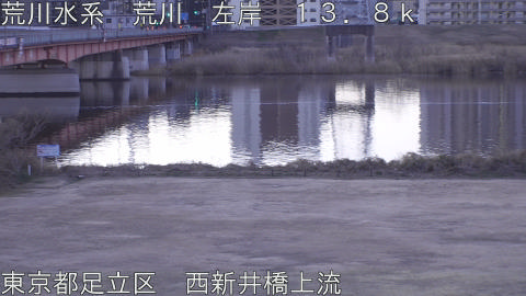 arani2026020107_image