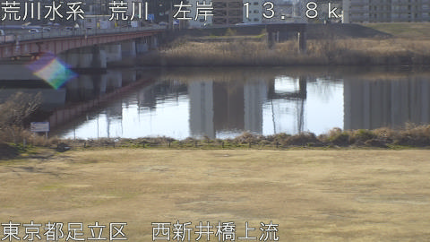 arani2026020109_image