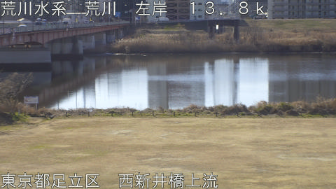 arani2026020110_image