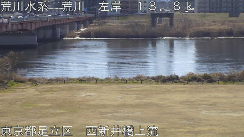 arani2026020112_image