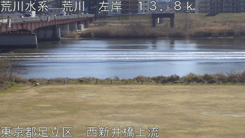 arani2026020113_image