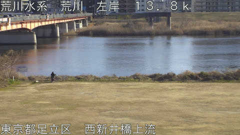 arani2026020115_image