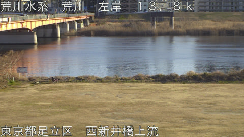 arani2026020116_image