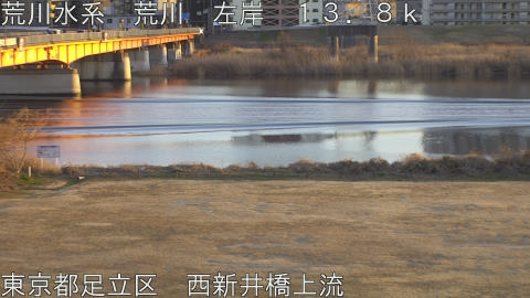 arani2026020117_image