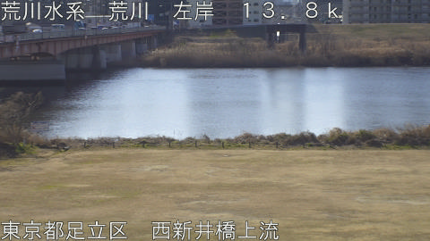 arani2026020210_image